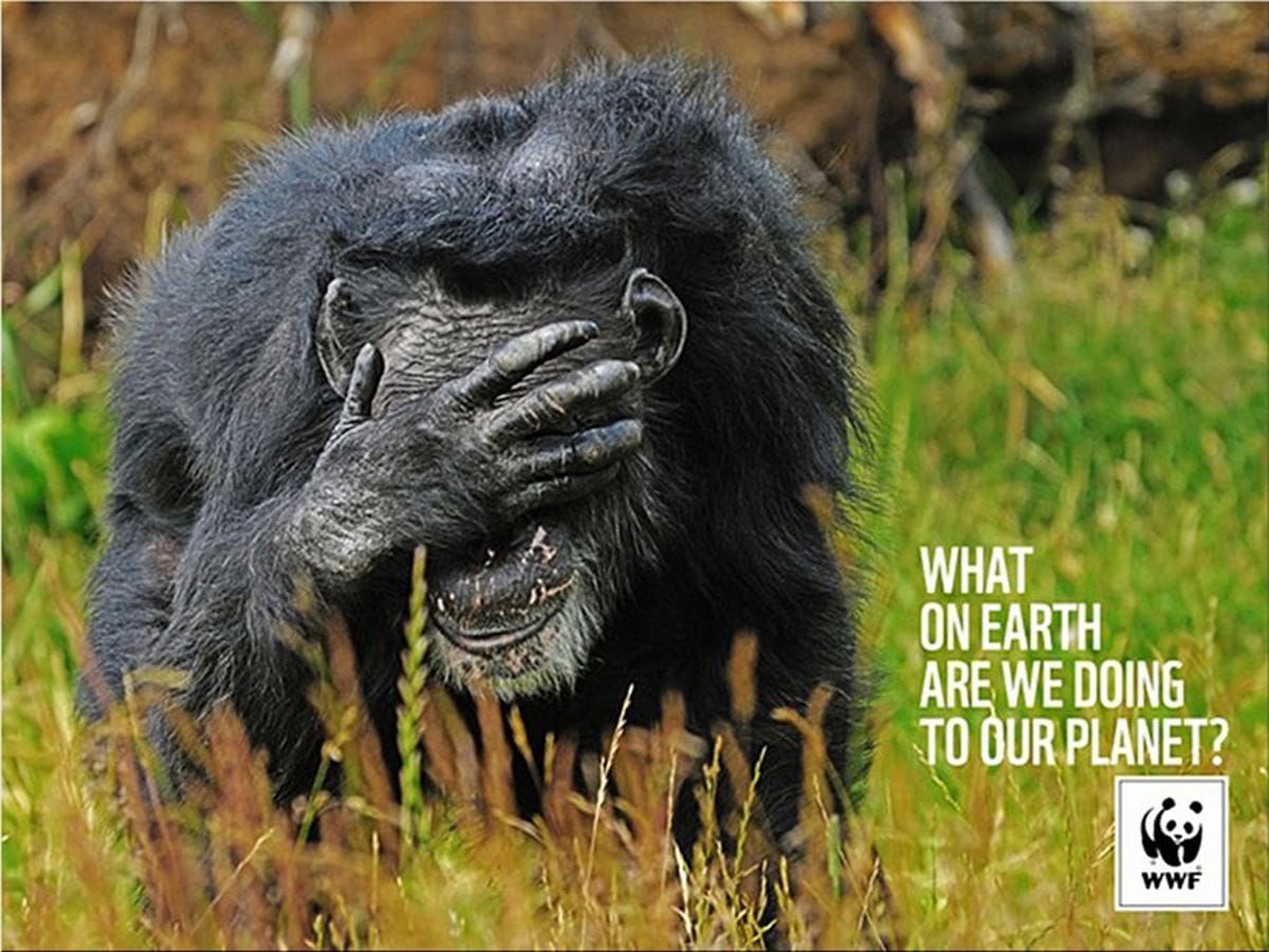 WWF: What on earth are we doing to our planet? | ad Ruby